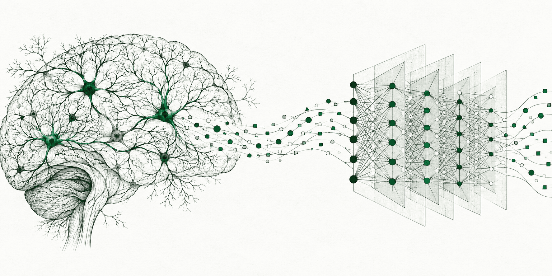 Ilustração compara uma rede de neurônios biológicos a uma rede neural artificial geométrica
