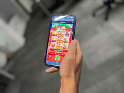 Câmara analisa proibição de cassinos online e restringe publicidade de bets