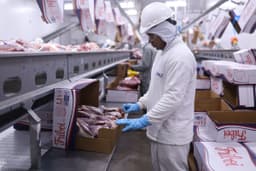 Preço da carne bovina deve subir no Brasil no fim de 2026