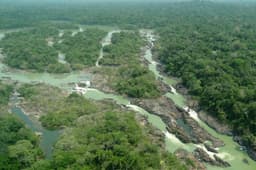Senado aprova redução de 486 mil hectares na Floresta Nacional do Jamanxim
